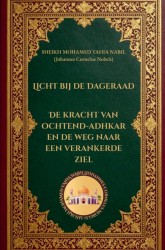 Licht bij de Dageraad