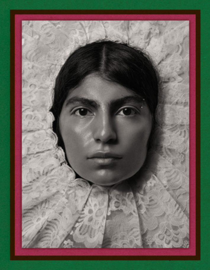 Pieter Henket: Birds of Mexico City