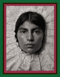 Pieter Henket: Birds of Mexico City