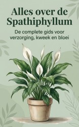 Alles over de Spathiphyllum