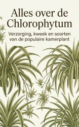 Alles over de Chlorophytum