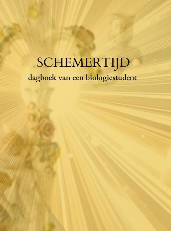 SCHEMERTIJD
