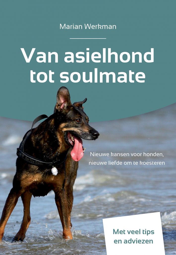 Van asielhond tot soulmate