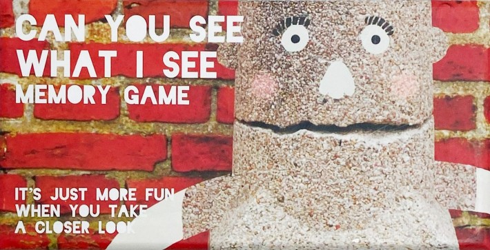 Can you see what I see memory game