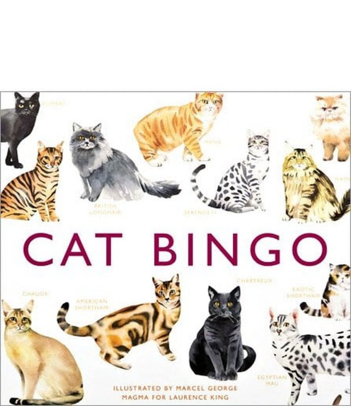 Cat Bingo Cat Bingo
