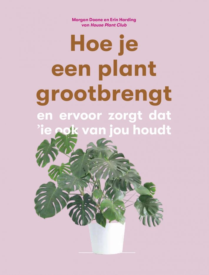 Hoe je een plant grootbrengt Hoe je een plant grootbrengt