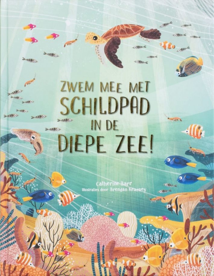 Zwem mee met schildpad in de diepe zee!