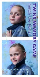 Twins Memory Game 3