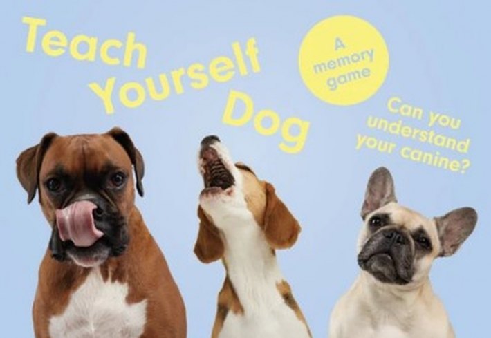 Teach Yourself Dog