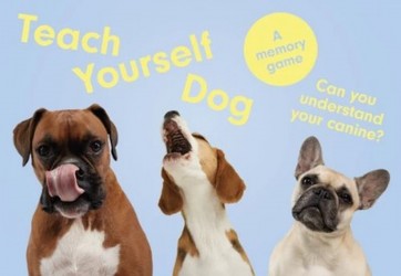 Teach Yourself Dog