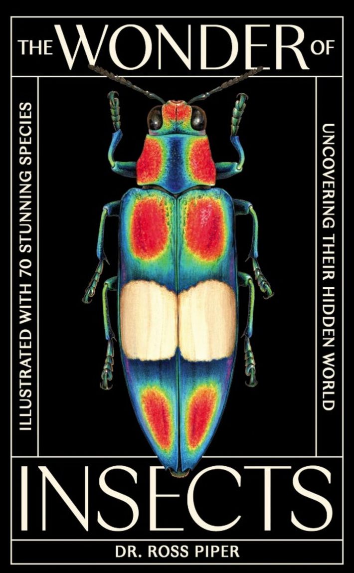 The Wonder of Insects: Uncovering their Hidden World