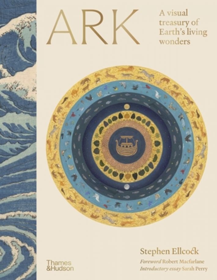 Ark Ark