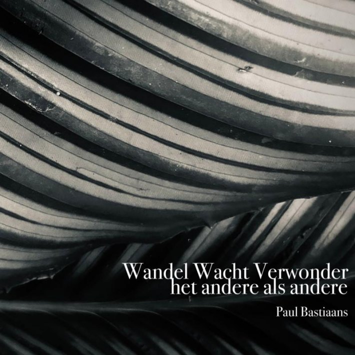 Wandel Wacht Verwonder