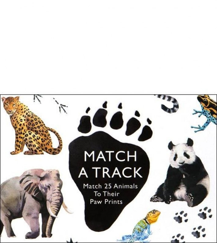 Match a Track