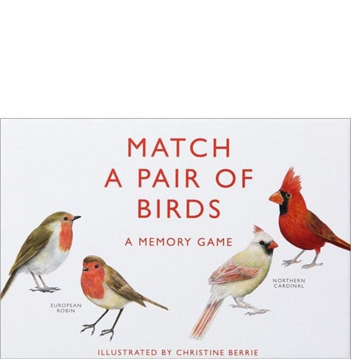 Match a Pair of Birds