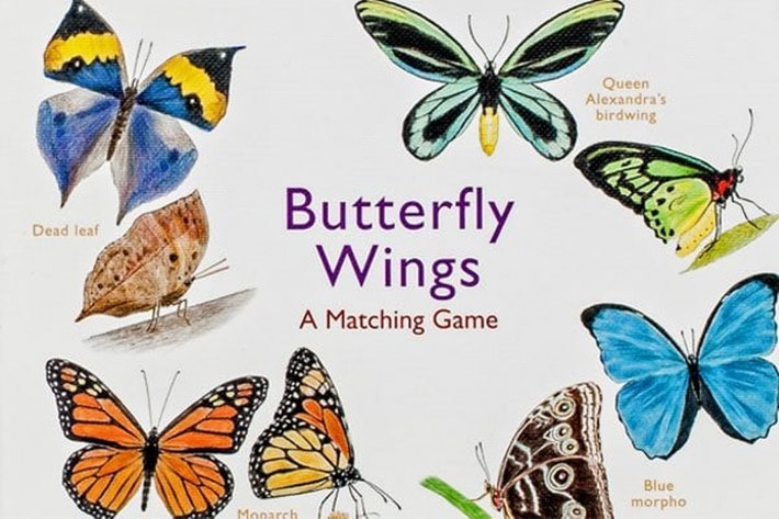 Butterfly Wings Butterfly Wings
