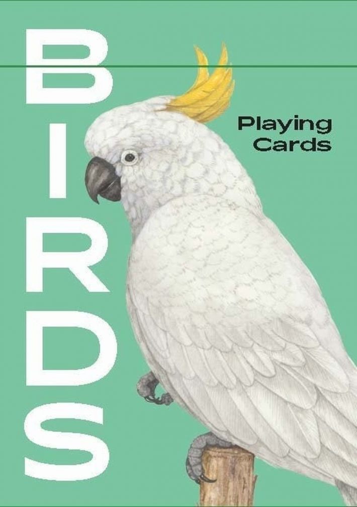Birds Birds