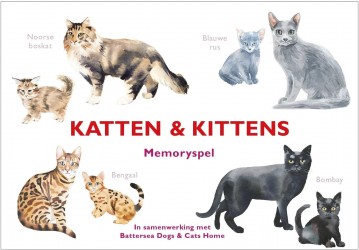 Katten & Kittens Katten & Kittens