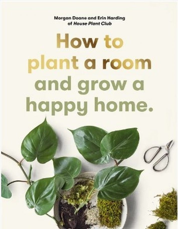 How to plant a room How to plant a room