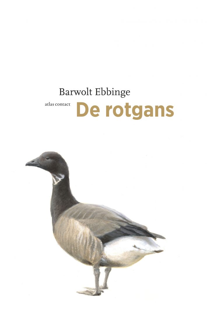 De rotgans • De rotgans De rotgans • De rotgans