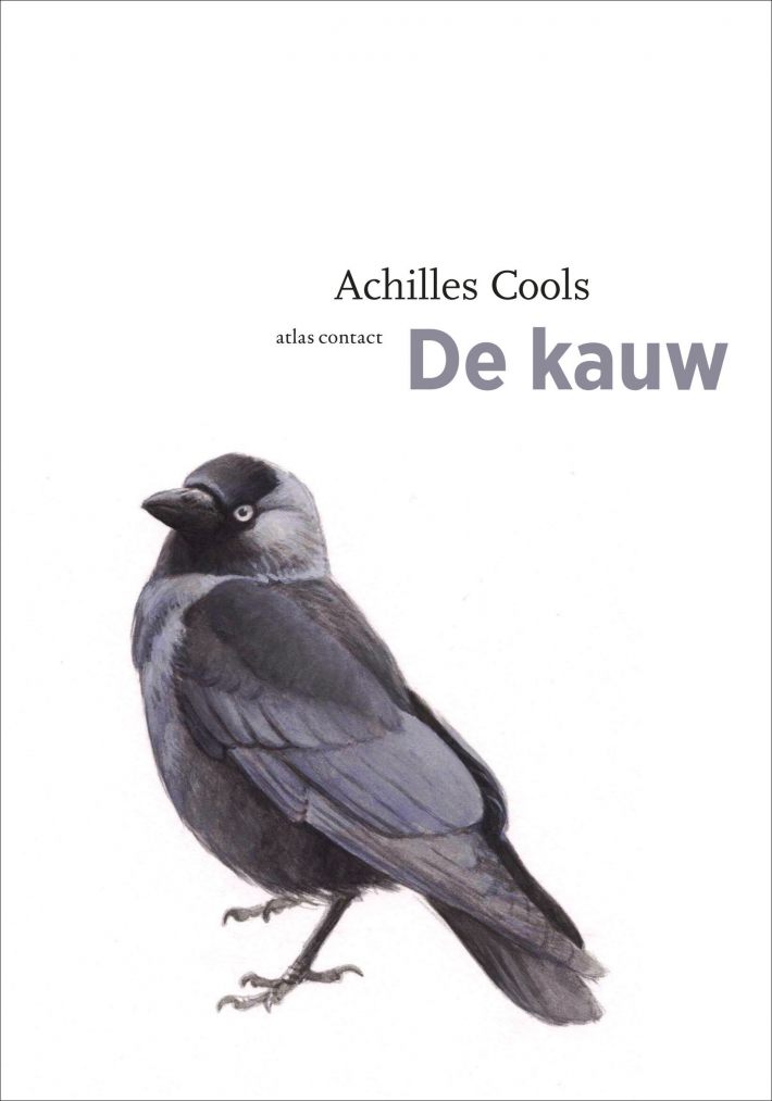 De kauw • De kauw De kauw • De kauw