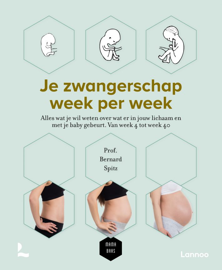 Je zwangerschap week per week