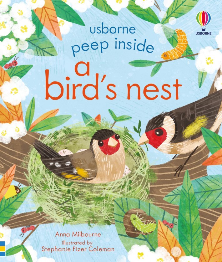Peep Inside a Bird's Nest Peep Inside a Bird's Nest