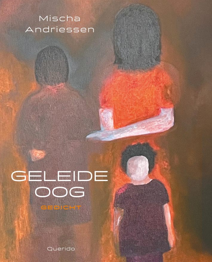 Geleideoog Geleideoog