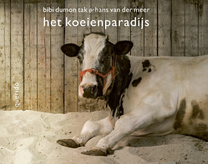 Het koeienparadijs Het koeienparadijs