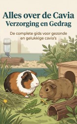 Alles over de Cavia: Verzorging en Gedrag