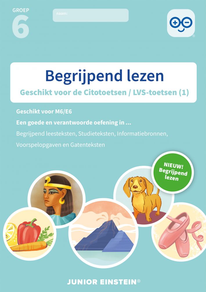 Begrijpend lezen Begrijpend lezen
