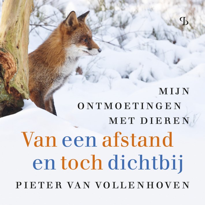 Van een afstand en toch dichtbij Van een afstand en toch dichtbij
