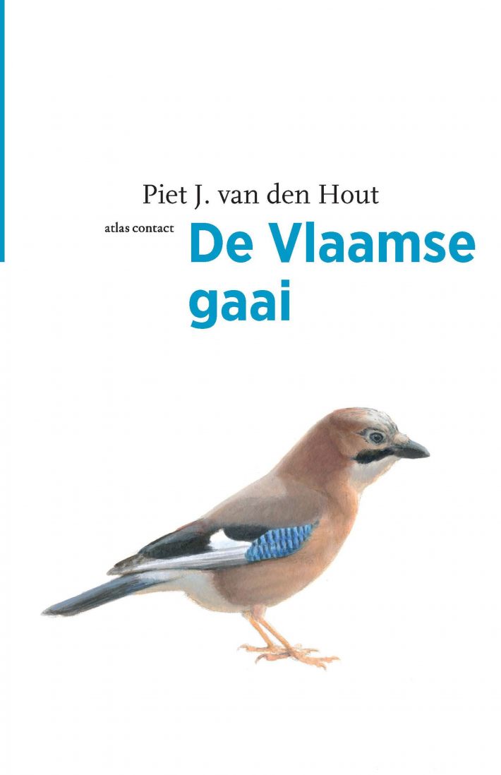 De Vlaamse gaai &bullet; De Vlaamse gaai