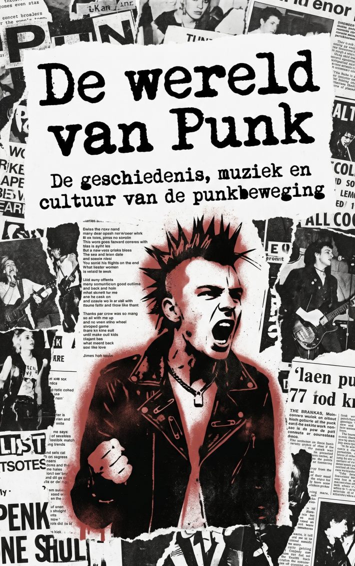 De wereld van Punk