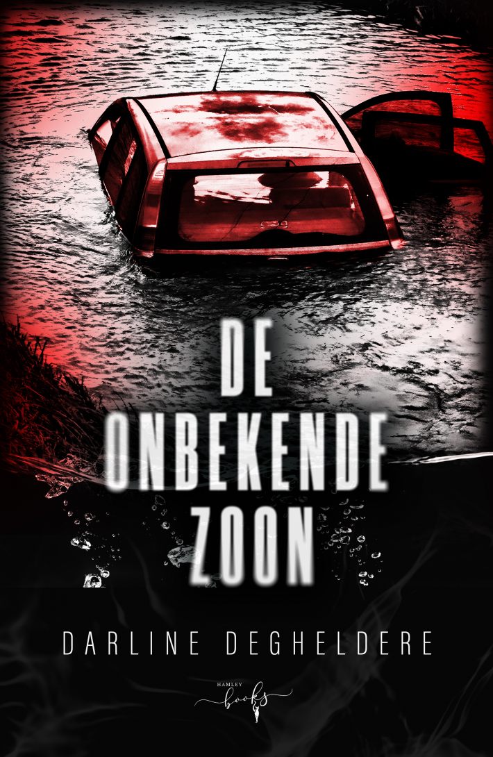 De onbekende zoon De onbekende zoon