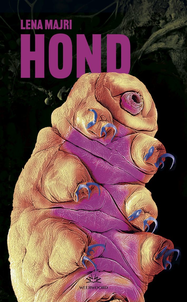 HOND