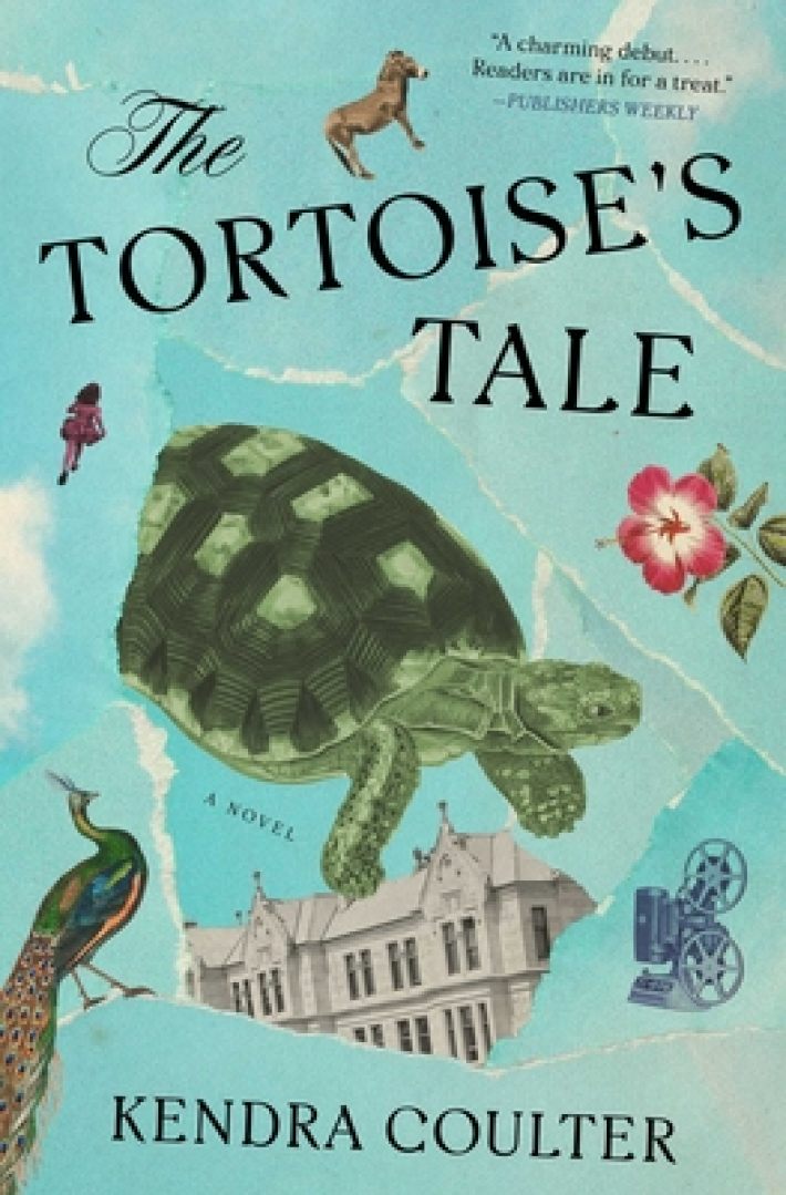 The Tortoise's Tale The Tortoise's Tale