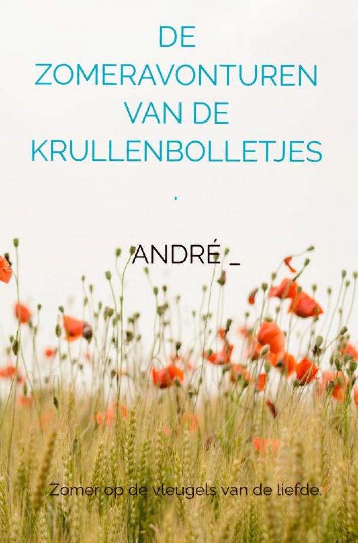 DE ZOMERAVONTUREN VAN DE KRULLENBOLLETJES.