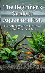 The Beginner's Guide to Aquarium Fish