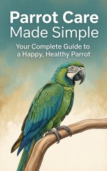 Parrot Care Made Simple