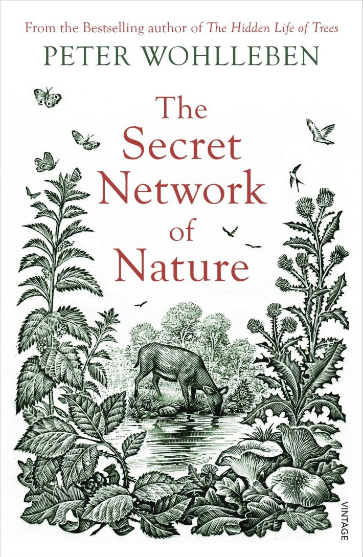The Secret Network of Nature The Secret Network of Nature