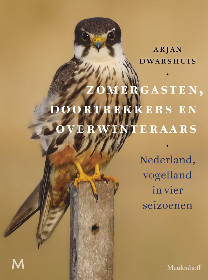 Zomergasten, doortrekkers en overwinteraars