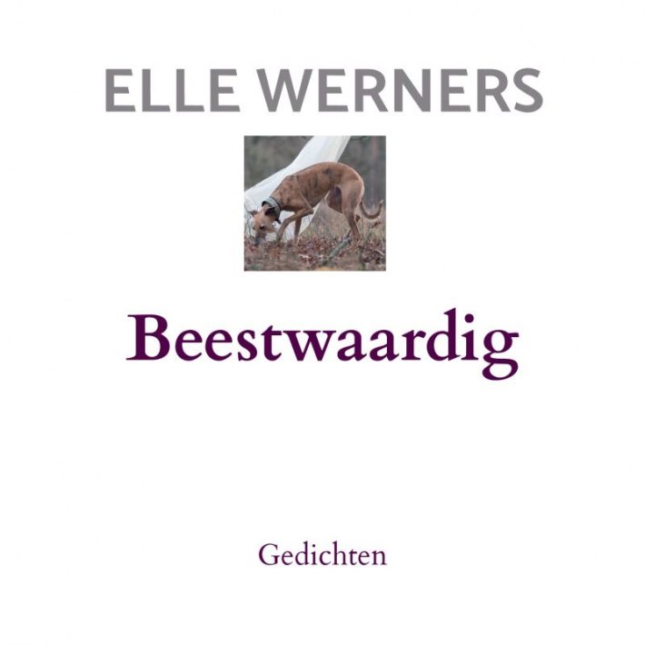 Beestwaardig