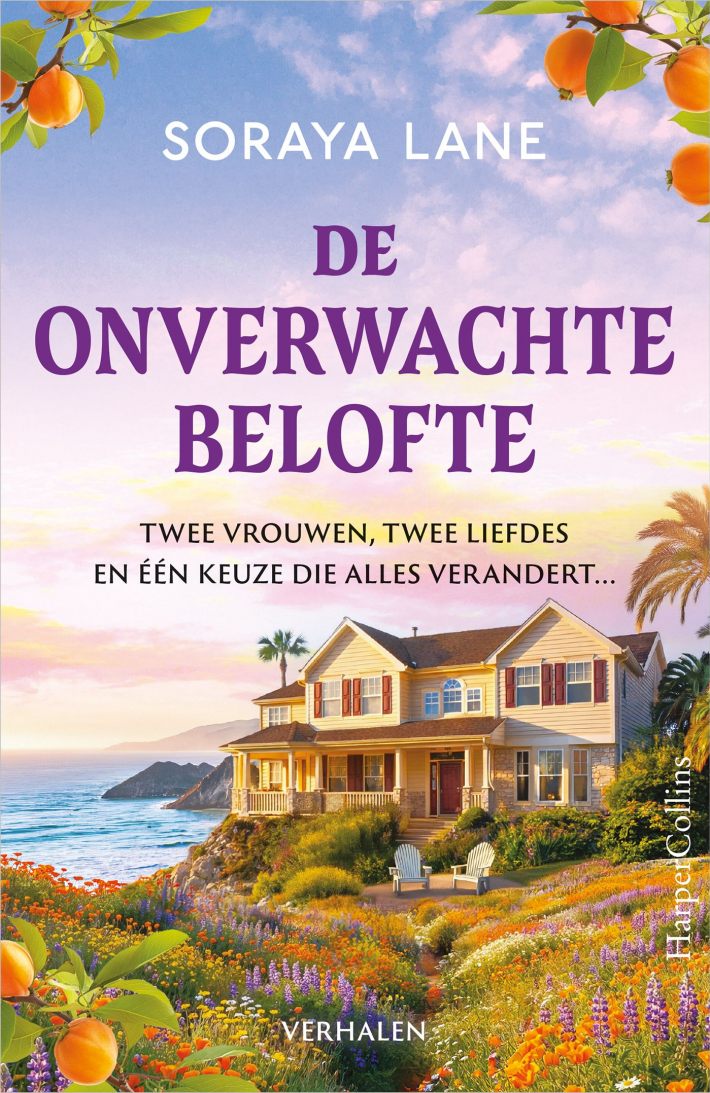 De onverwachte belofte De onverwachte belofte