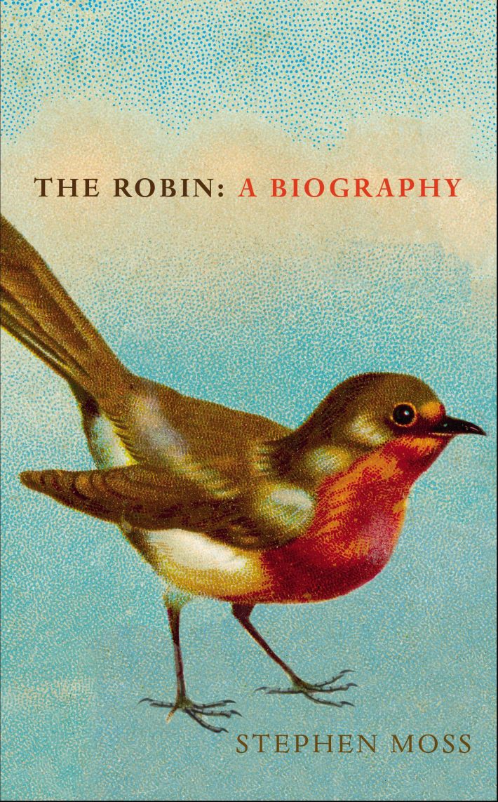 The Robin The Robin