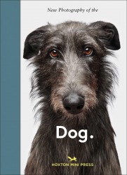 New Photography of the Dog