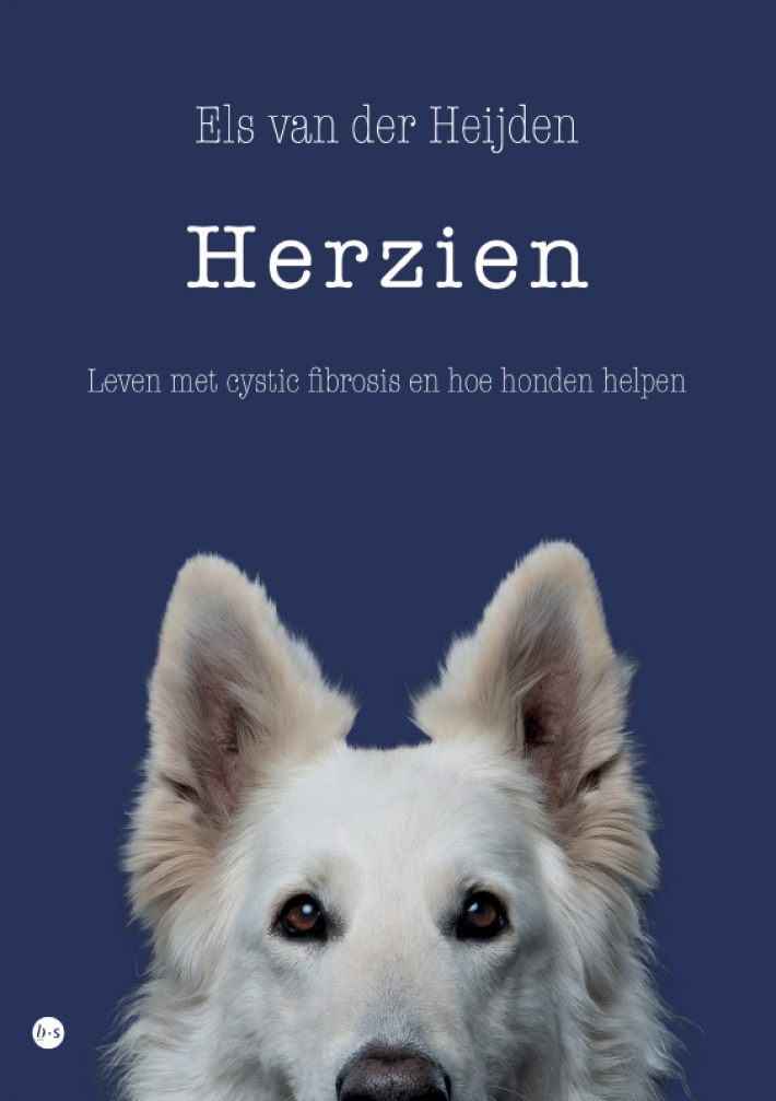 Herzien