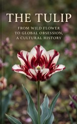 The Tulip