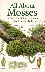 All About Mosses
