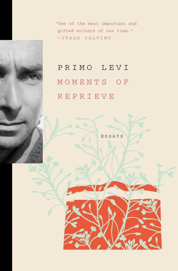 Moments of Reprieve